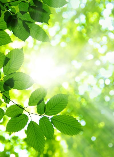iso-14001